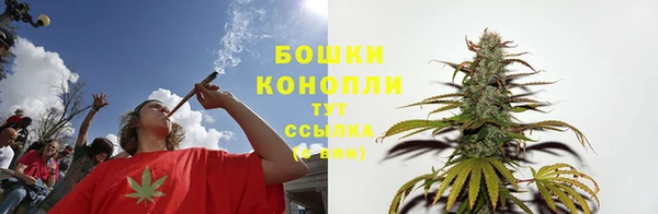хмурый Покров