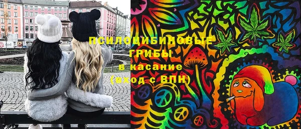 ECSTASY Покровск