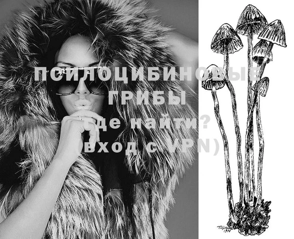 хмурый Покров