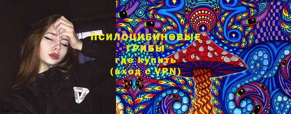хмурый Покров