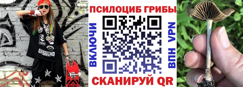 Псилоцибиновые грибы Cubensis  Купить закладки  Чехов 
